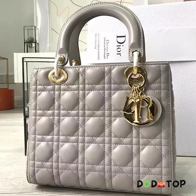 Fancybags Lady Dior 1569 - 1