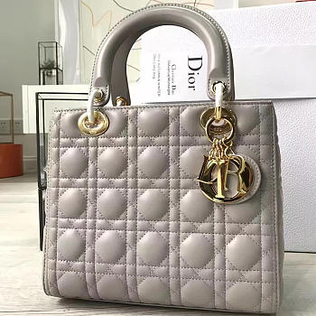 Fancybags Lady Dior 1569