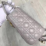 Fancybags Lady Dior 1569 - 2