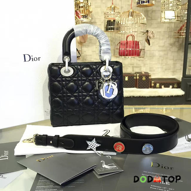 Fancybags Lady Dior 1631 - 1
