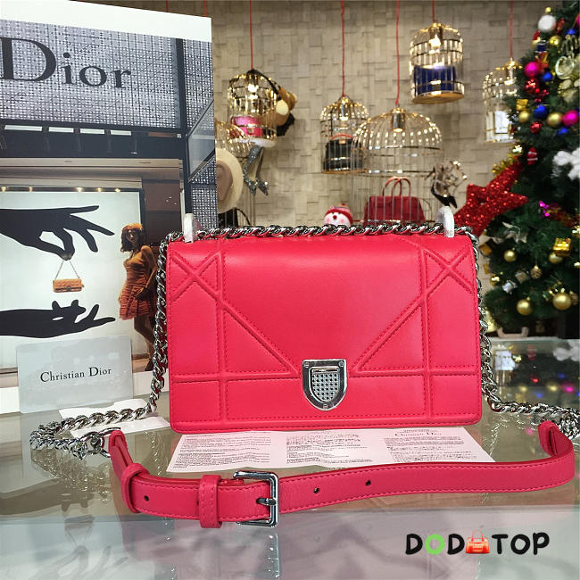 Fancybags Dior ama 1751 - 1