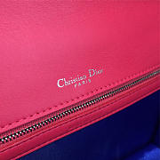 Fancybags Dior ama 1751 - 4