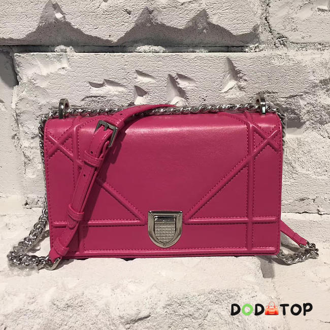 Fancybags Dior ama 1759 - 1