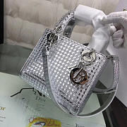 Fancybags Lady Dior 1789 - 4