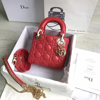 Fancybags Lady Dior mini 1546