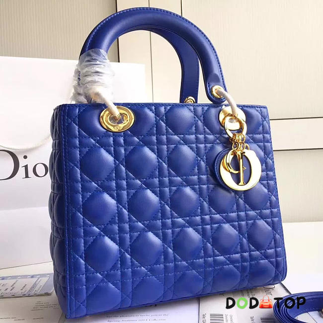 Fancybags Lady Dior 1573 - 1