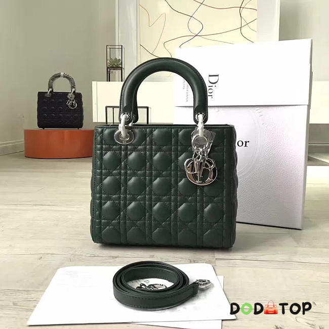 Fancybags Lady Dior 1574 - 1