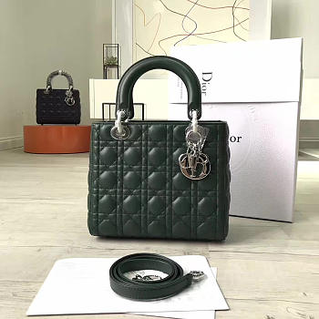 Fancybags Lady Dior 1574