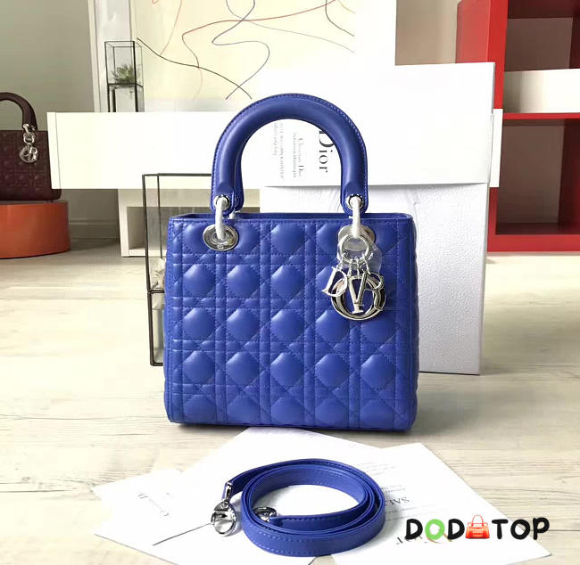 Fancybags Lady Dior 1577 - 1