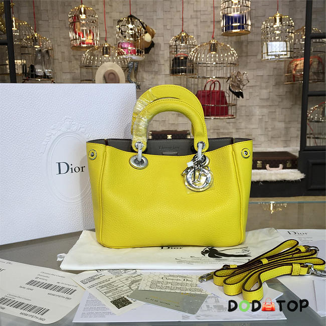 Fancybags Diorissimo 1669 - 1