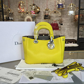Fancybags Diorissimo 1669