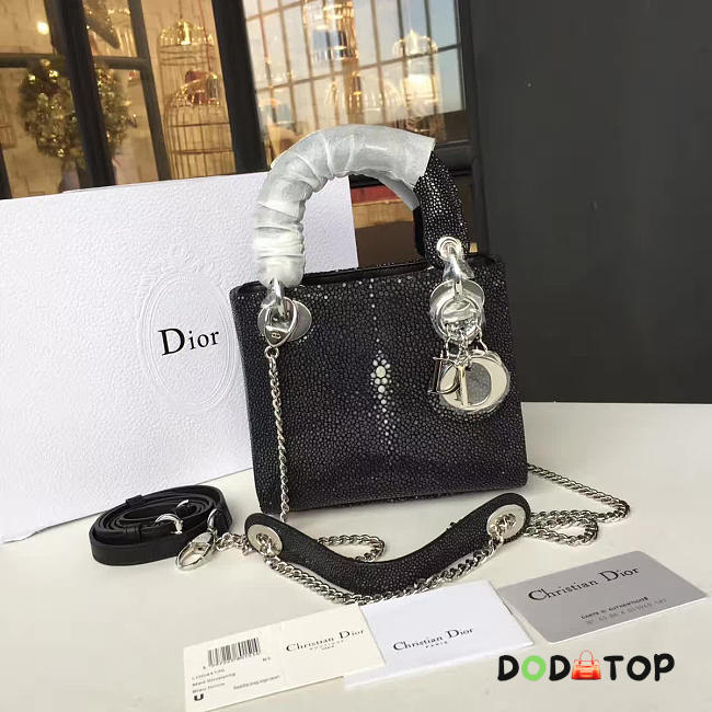 Fancybags Dior Lady 1703 - 1