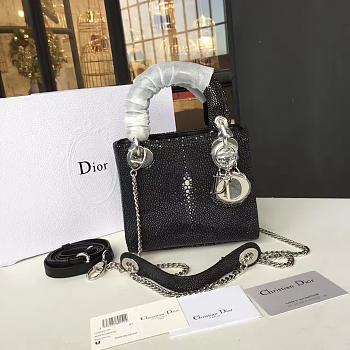 Fancybags Dior Lady 1703