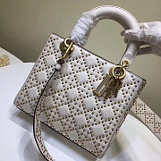 Fancybags Lady Dior 1811 - 1