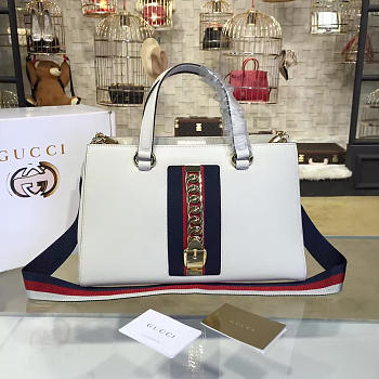 Fancybags Gucci Sylvie 2358