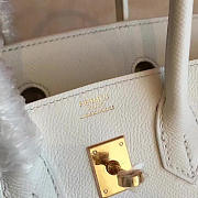 Fancybags Hermes birkin 2972 - 6