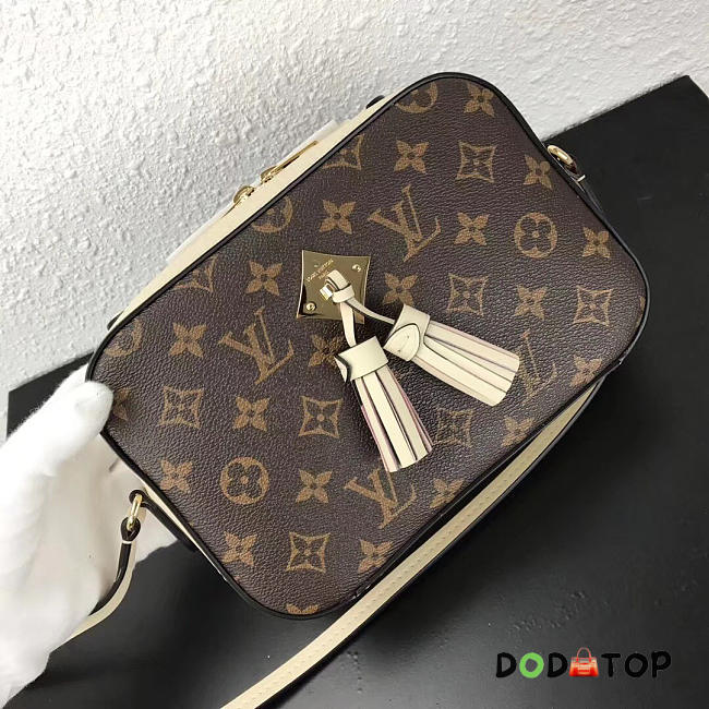 Fancybags 2018 louis vuitton monogram canvas saintonge bag M43559 white - 1