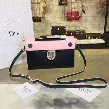 Fancybags Dior Ever 1539