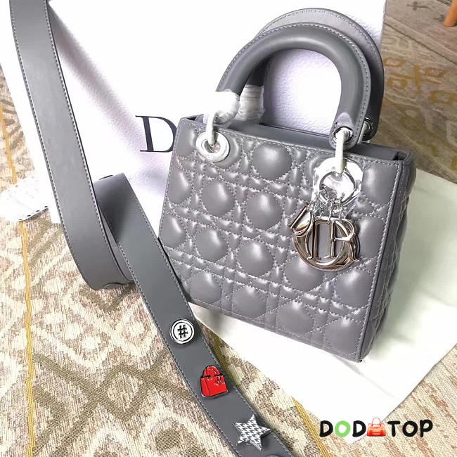 Fancybags Lady Dior 1585 - 1