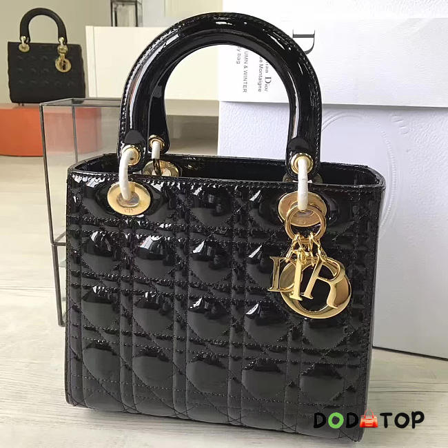 Fancybags Lady Dior 1603 - 1