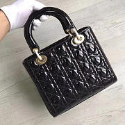 Fancybags Lady Dior 1603 - 5