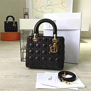 Fancybags Lady Dior 1605 - 1