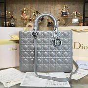 Fancybags Lady Dior 1642 - 1