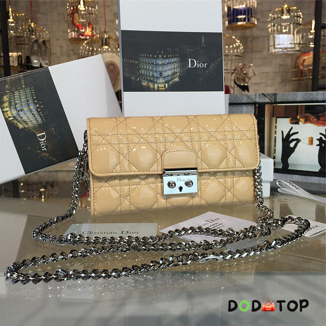 Fancybags Dior WOC 1688 - 1