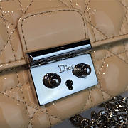 Fancybags Dior WOC 1688 - 6