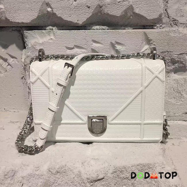 Fancybags Dior ama 1733 - 1