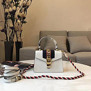 Fancybags Gucci Sylvie 2355 - 1