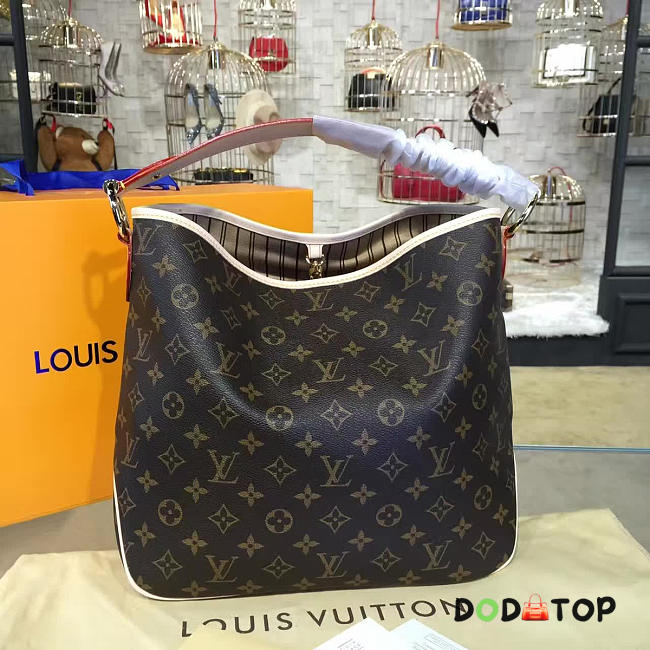 Fancybags Louis Vuitton DELIGHTFUL - 1