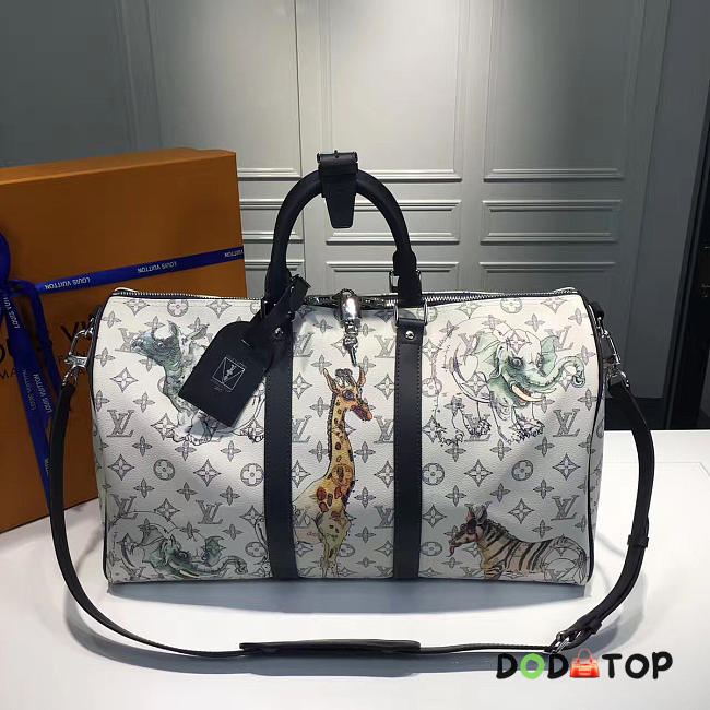 Fancybags Louis Vuitton Keepall 45 5700 - 1
