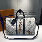 Fancybags Louis Vuitton Keepall 45 5700 - 1