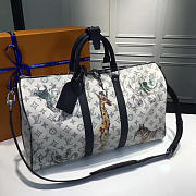 Fancybags Louis Vuitton Keepall 45 5700 - 5