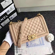 Fancybags Chanel Lambskin Medium Boy Bag A67086 Beige 2017 VS02723 - 6