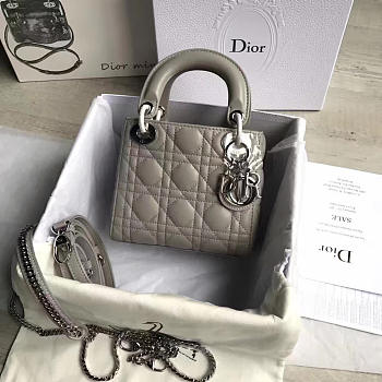 Fancybags Lady Dior mini 1552