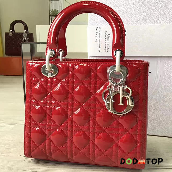 Fancybags Lady Dior 1580 - 1