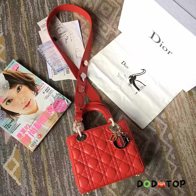 Fancybags Lady Dior 1623 - 1