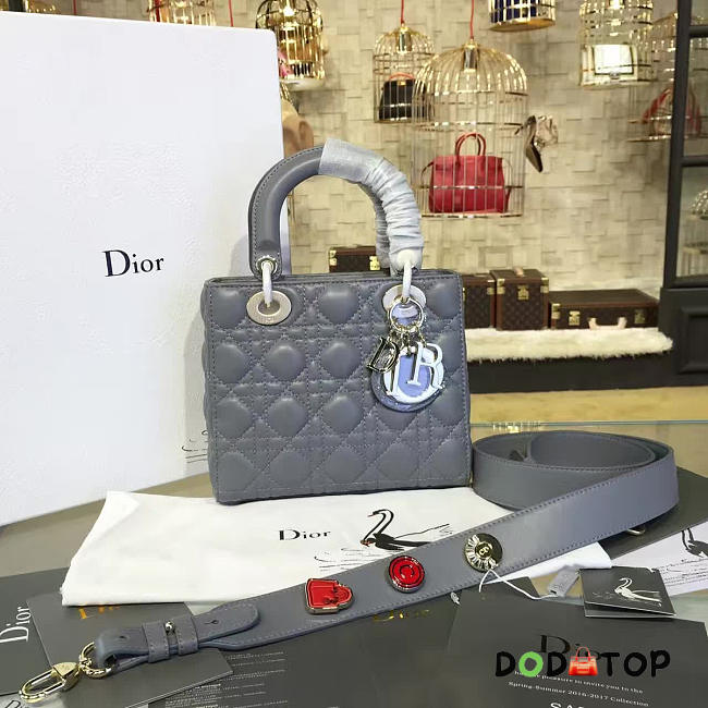 Fancybags Lady Dior 1626 - 1