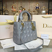 Fancybags Lady Dior 1643 - 1