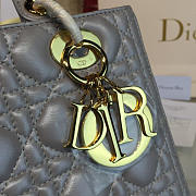 Fancybags Lady Dior 1643 - 6