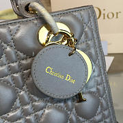 Fancybags Lady Dior 1643 - 5