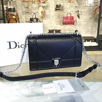 Fancybags Dior ama 1730