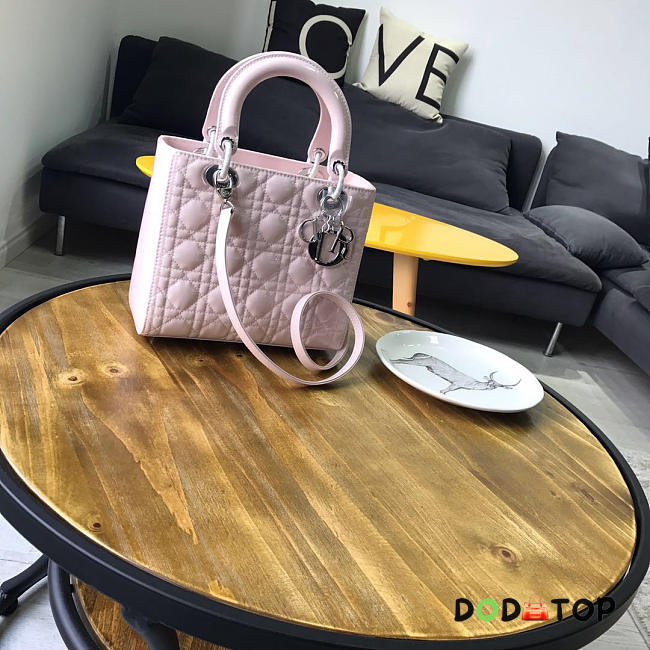 Fancybags Lady Dior 1801 - 1