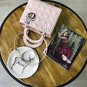 Fancybags Lady Dior 1801 - 3