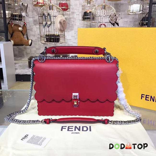 Fancybags Fendi KANI 1911 - 1