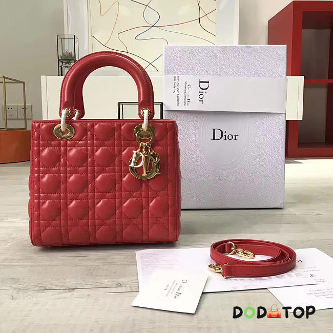 Fancybags Lady Dior 1584 - 1