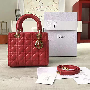 Fancybags Lady Dior 1584