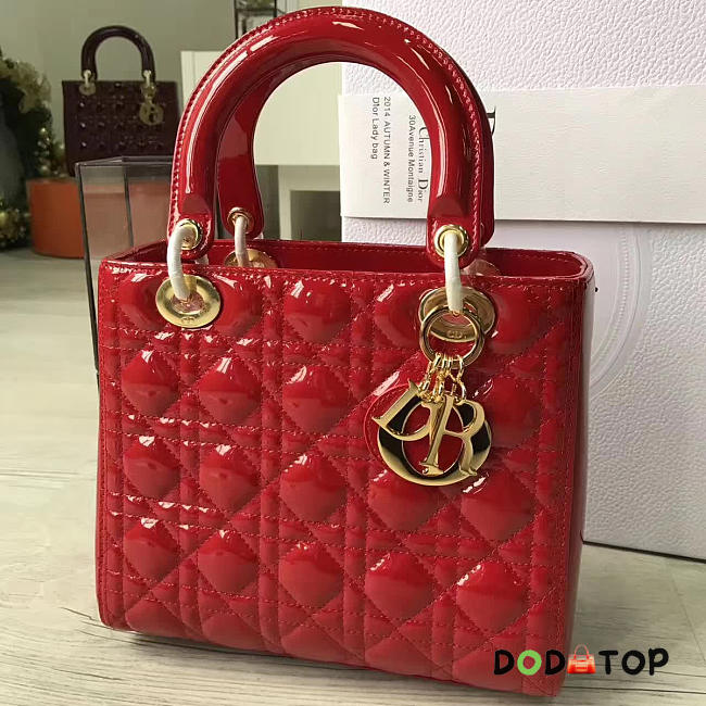 Fancybags Lady Dior 1610 - 1